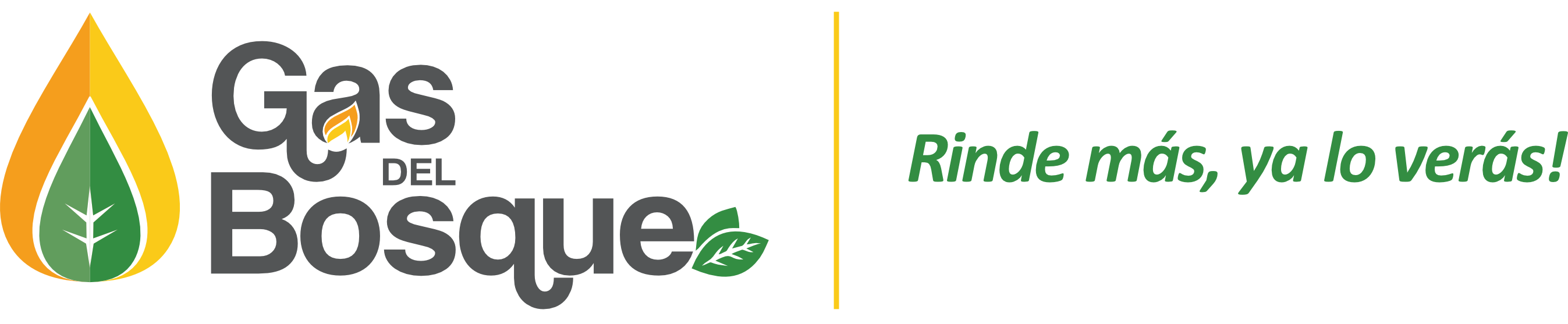 Gas Del Bosque